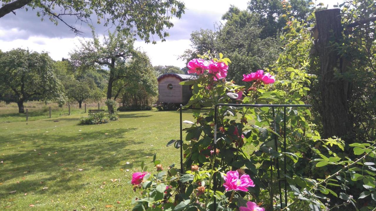 Roulotte Le Temps De Rever Bed and Breakfast Saint-Michel-sur-Meurthe Exterior foto